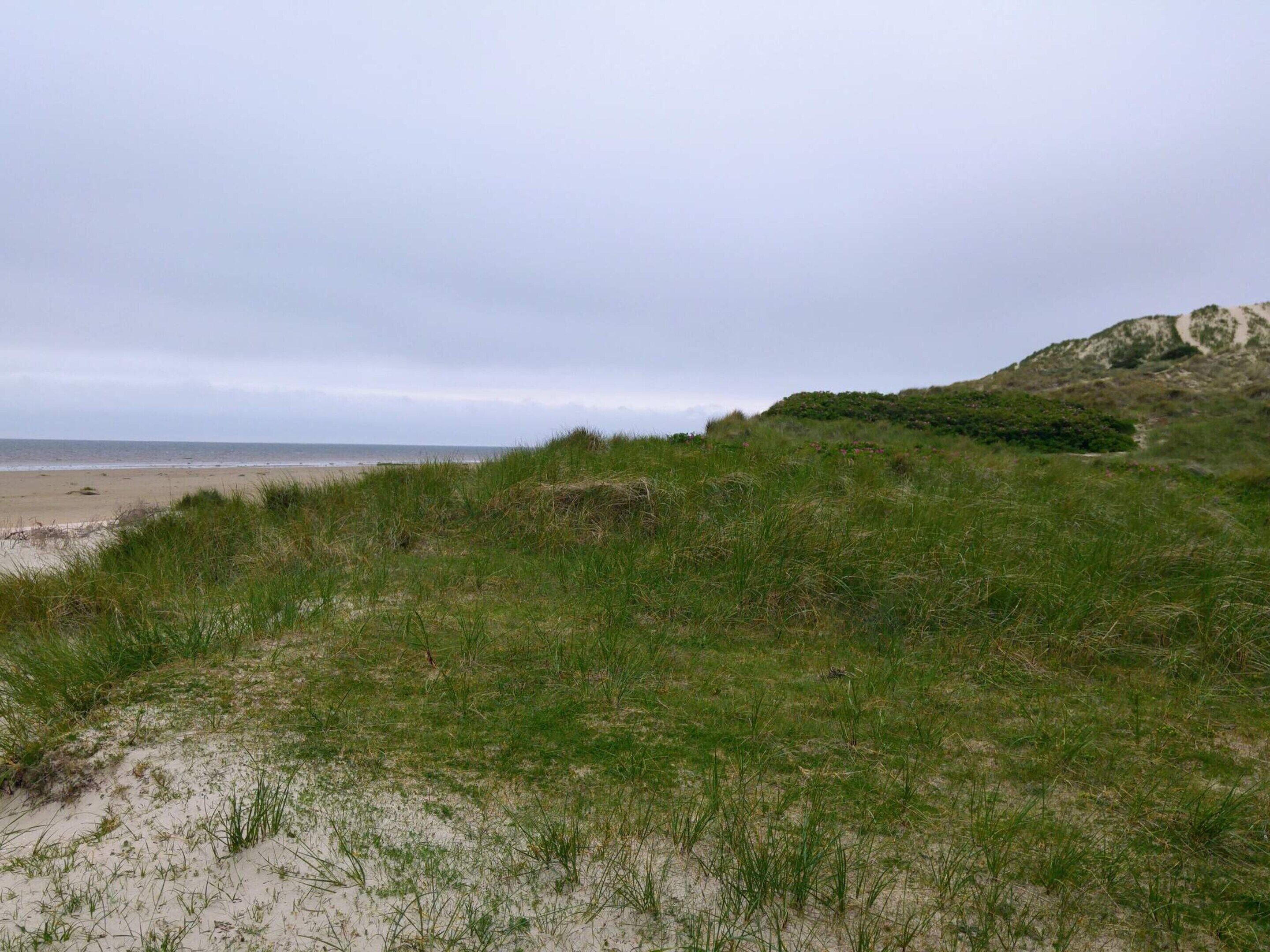 House | Beach