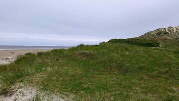 House | Beach