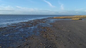 A beach with wet sand and water, a clear sky, and distant land.