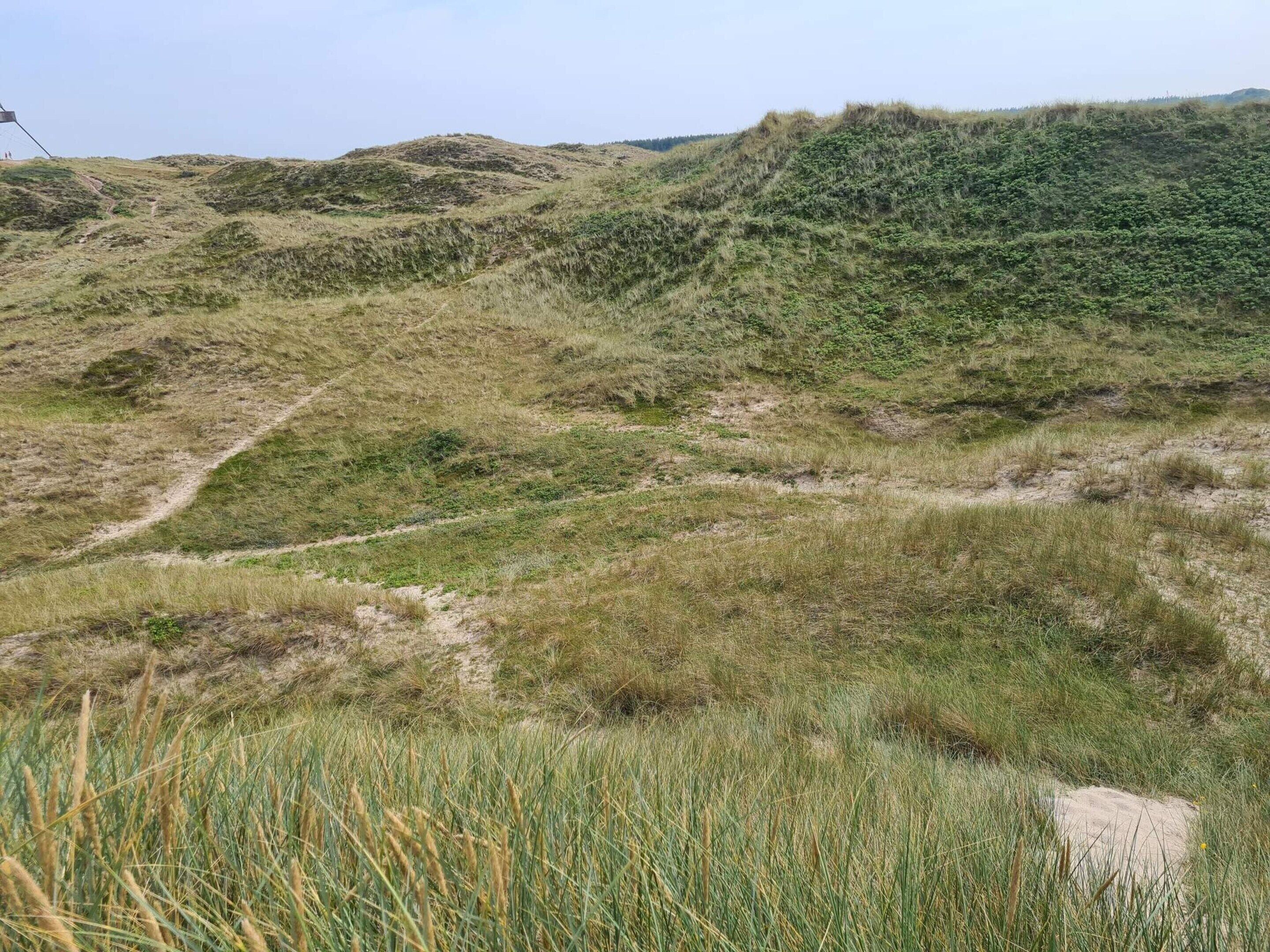 A natural landscape with rolling hills and a dirt path.