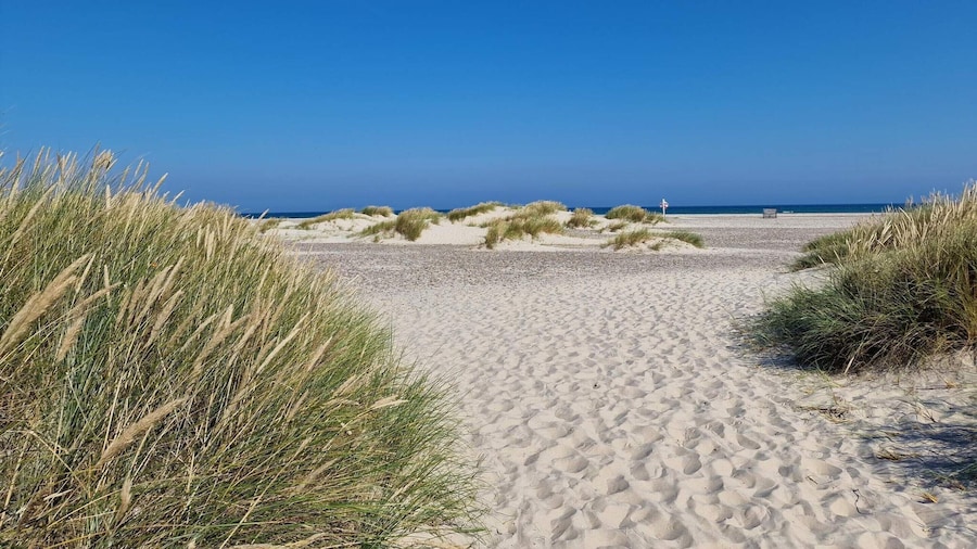 5 Person Holiday Home in Skagen-by Traum