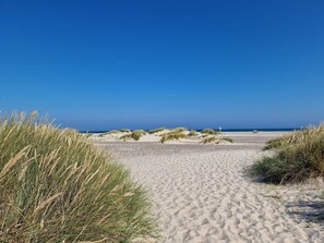 A sandy beach with dunes and a clear blue sky.