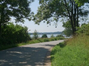 A paved path leading to a body of water, surrounded by trees and greenery.