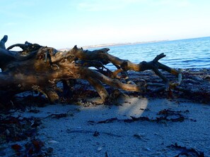 House | Miscellaneous