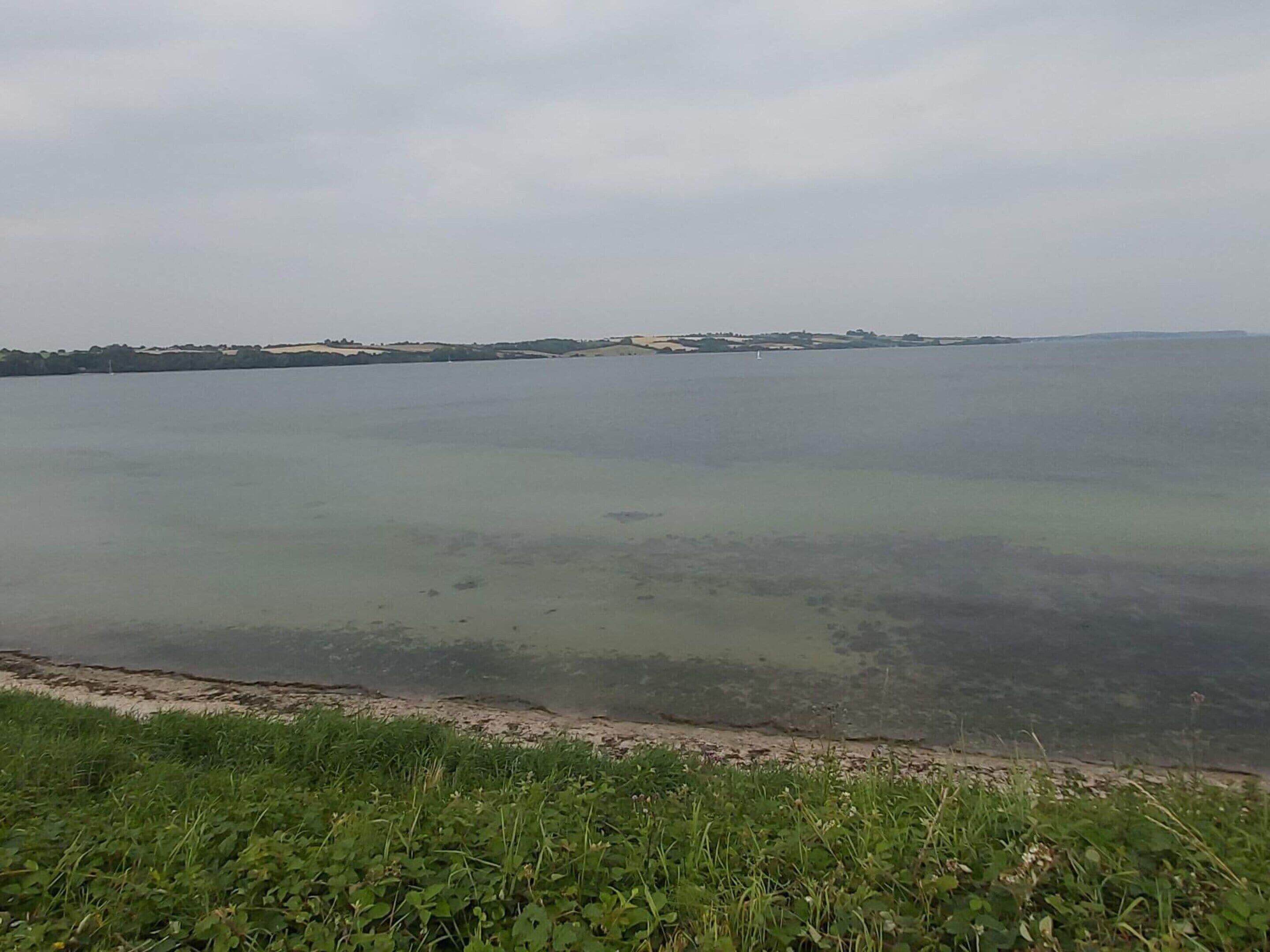 House | Water view