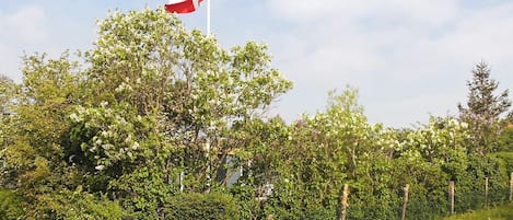 Ngoại thất