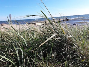 A beach with tall grasses, a wooden pier, and the ocean in the background.