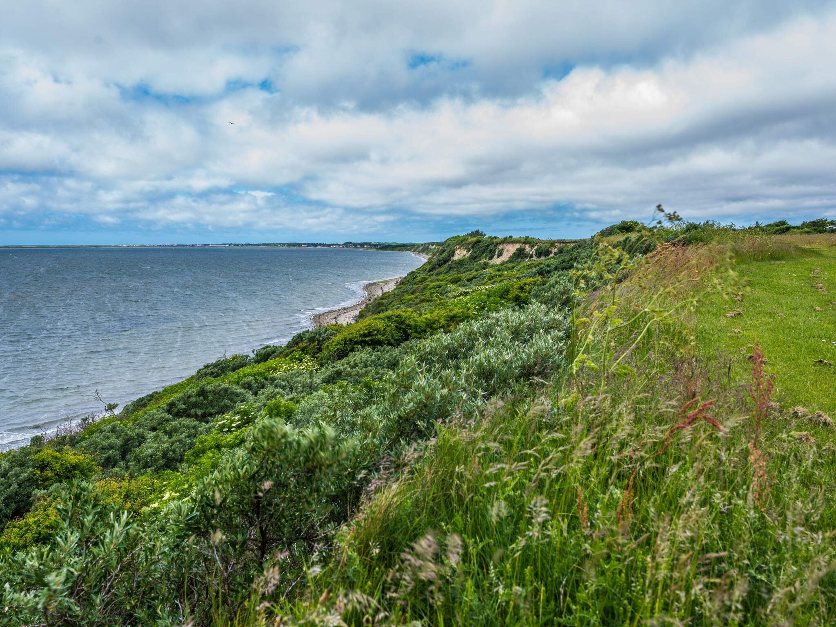 A coastal landscape with a grassy area and a body of water.