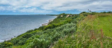 A coastal landscape with a grassy area and a body of water.