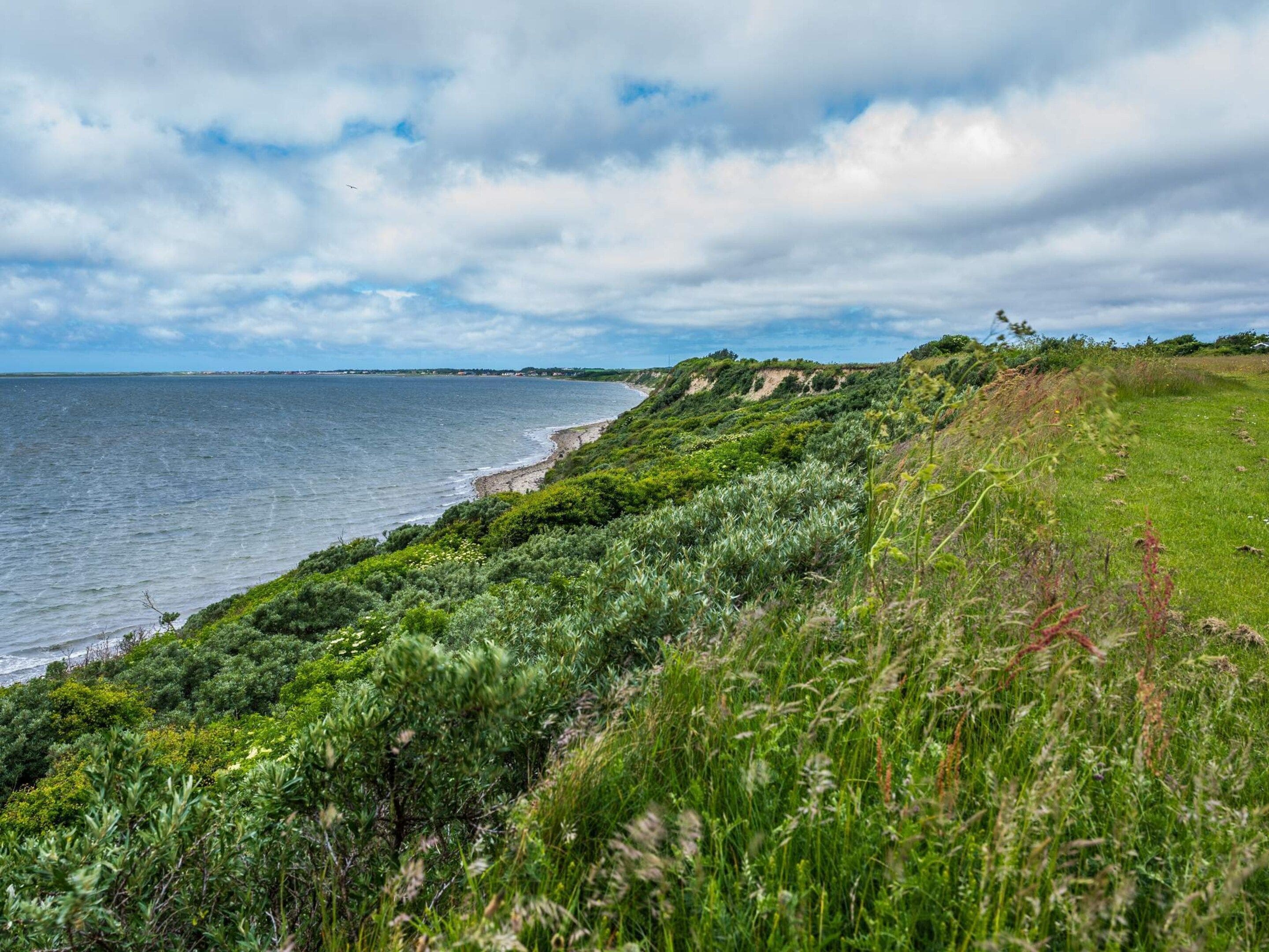 Un paisaje costero con un sendero de hierba que conduce al mar, bajo un cielo parcialmente nublado.