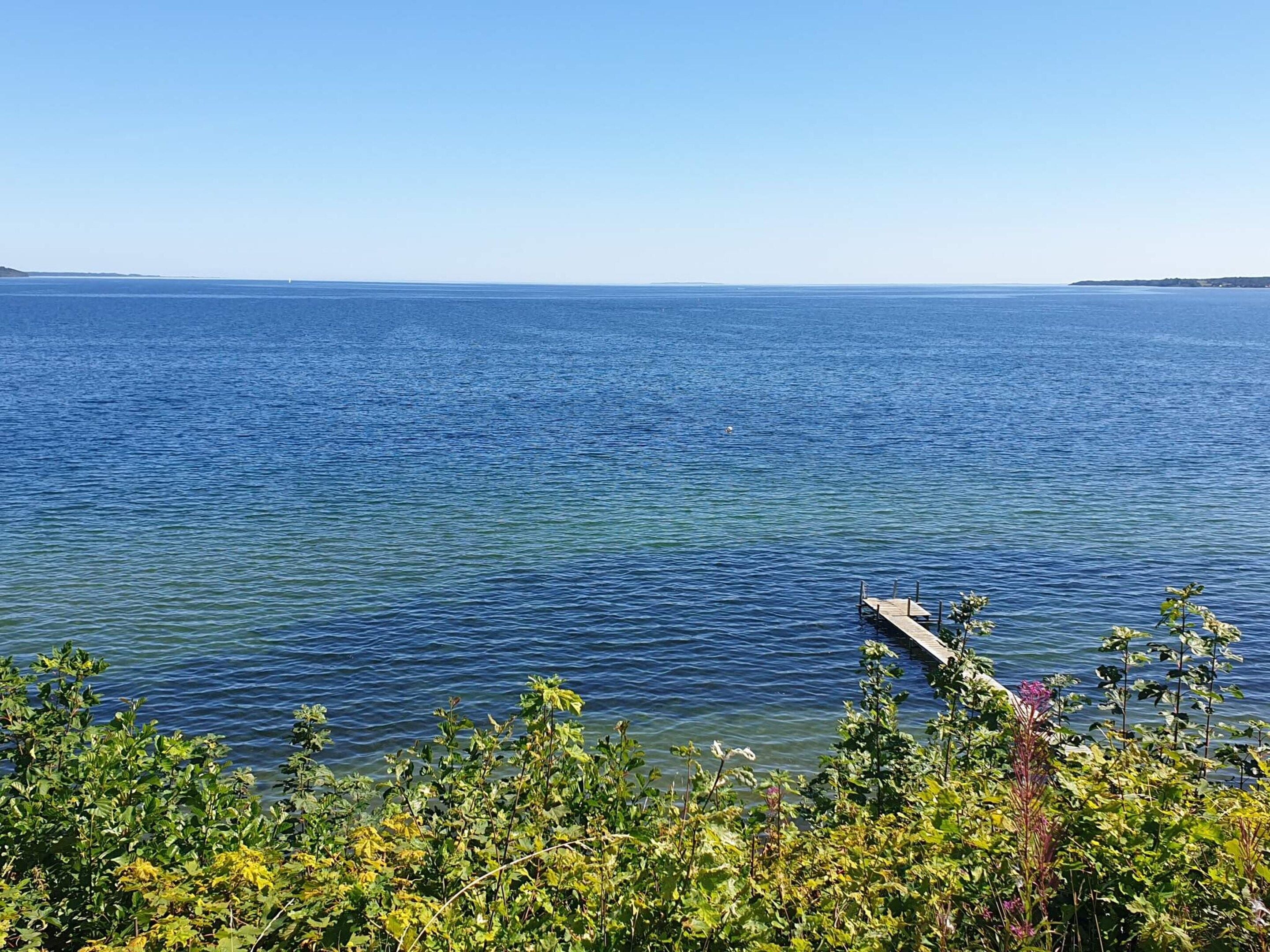 A clear view of a calm sea with a wooden dock extending into the water, surrounded by lush greenery.
