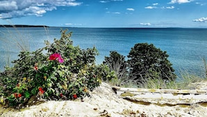 Un paisaje costero con vista despejada al mar, una playa de arena y algo de vegetación.
