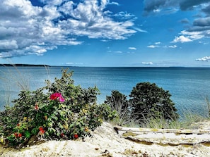 Ett kustlandskap med fri utsikt över havet, en sandstrand och en del växtlighet.