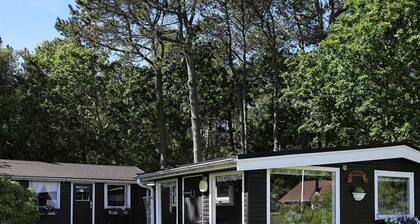 Cozy Holiday Home in Frederikshavn With Sea View