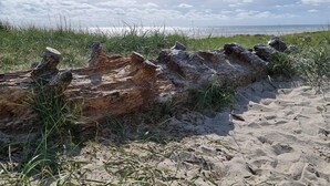 獨棟房屋 | 海灘