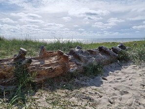 A sandy beach with a large fallen tree trunk and grass.