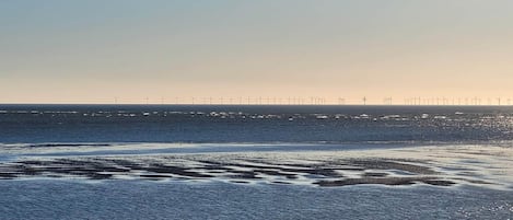 A coastal view with a beach and a line of wind turbines in the distance.