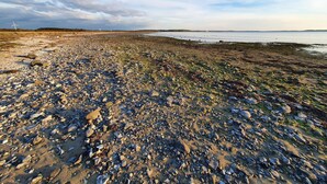 A rocky beach with a view of the sea and distant wind turbines.