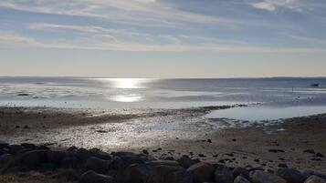 A beach with a rocky foreground and calm water reflecting the sun.