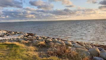Et kystlandskab med en klippefyldt kystlinje, græsarealer og et roligt hav under en let skyet himmel.