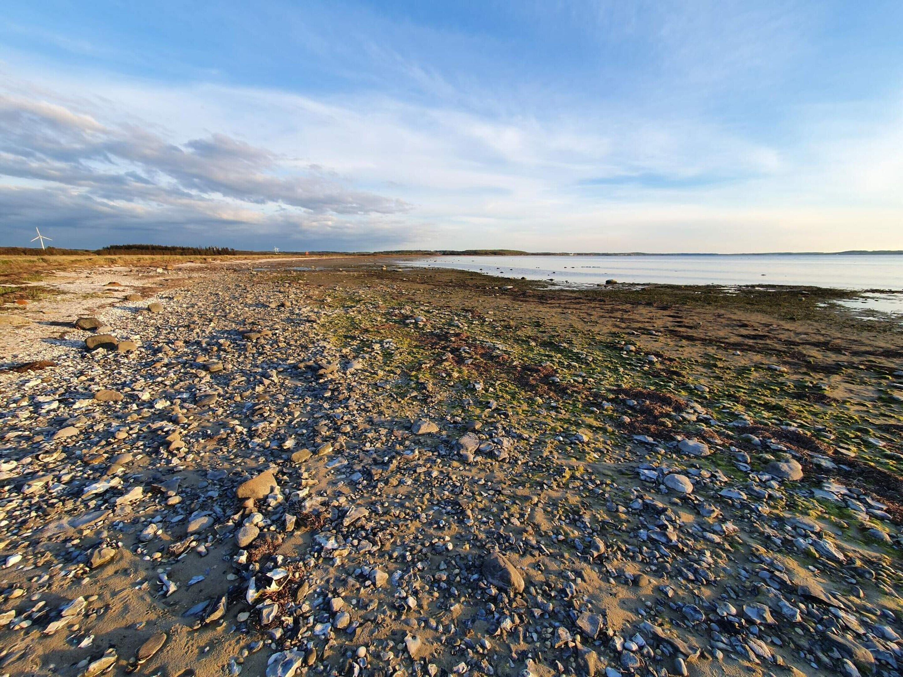Hus | Strand