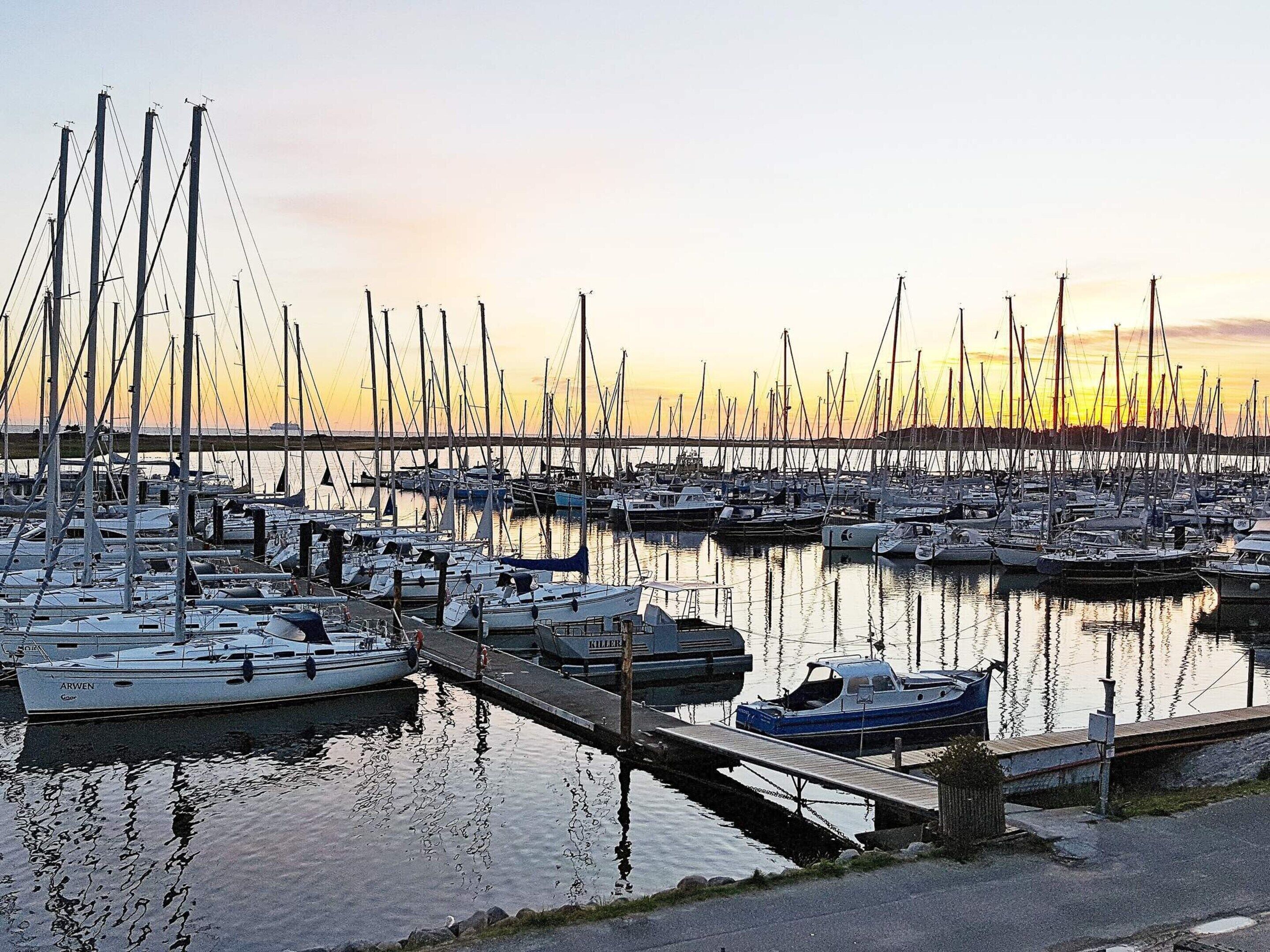 A marina with multiple boats docked, a wooden dock, and calm water reflecting the boats.