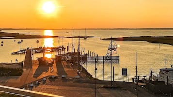 A waterfront marina with boats docked, a pedestrian walkway, and a bridge in the background.