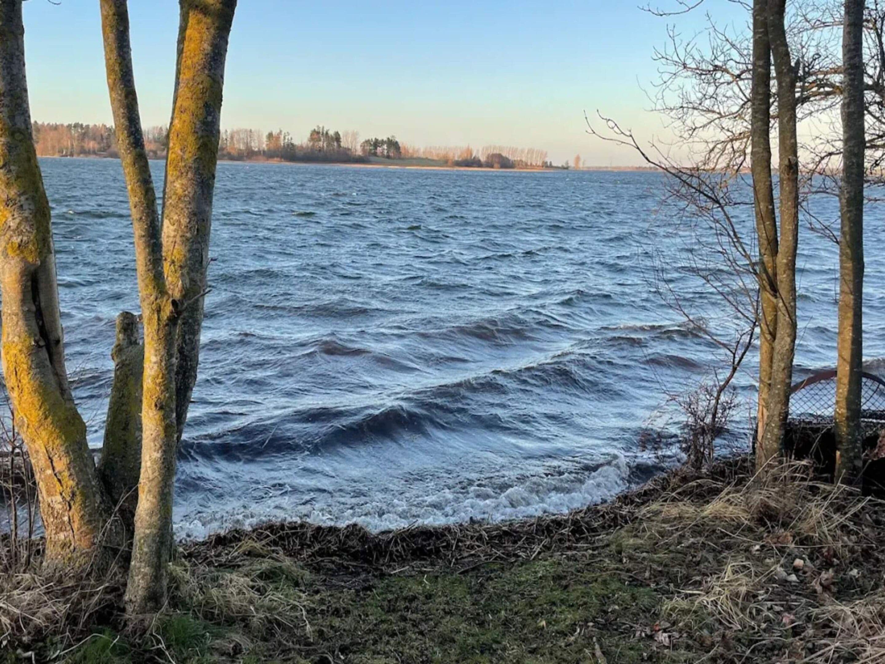 A body of water with waves, surrounded by trees and a distant shoreline.