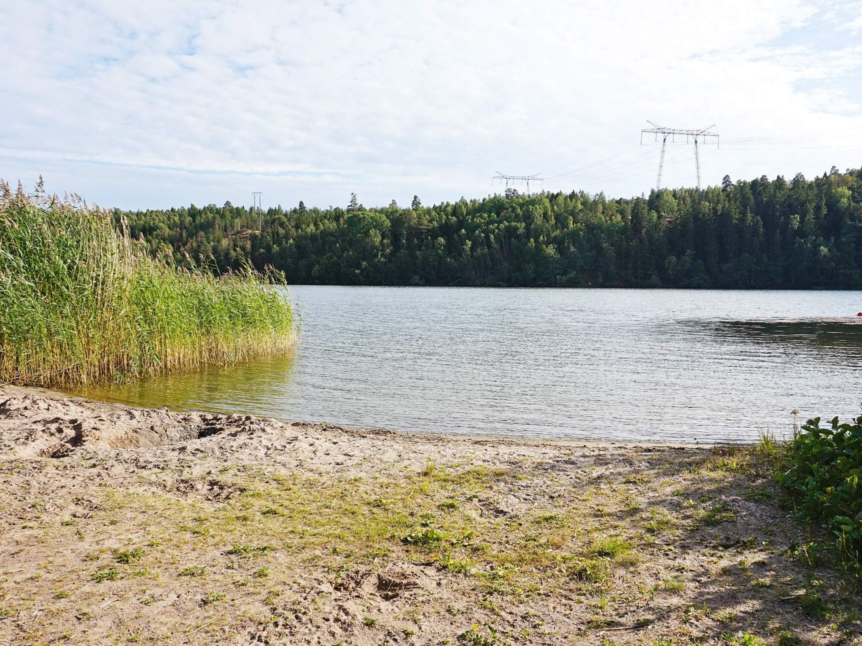 A natural landscape with a lake, a forested area, and power lines in the distance.
