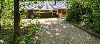 4 Star Holiday Home in Ansager