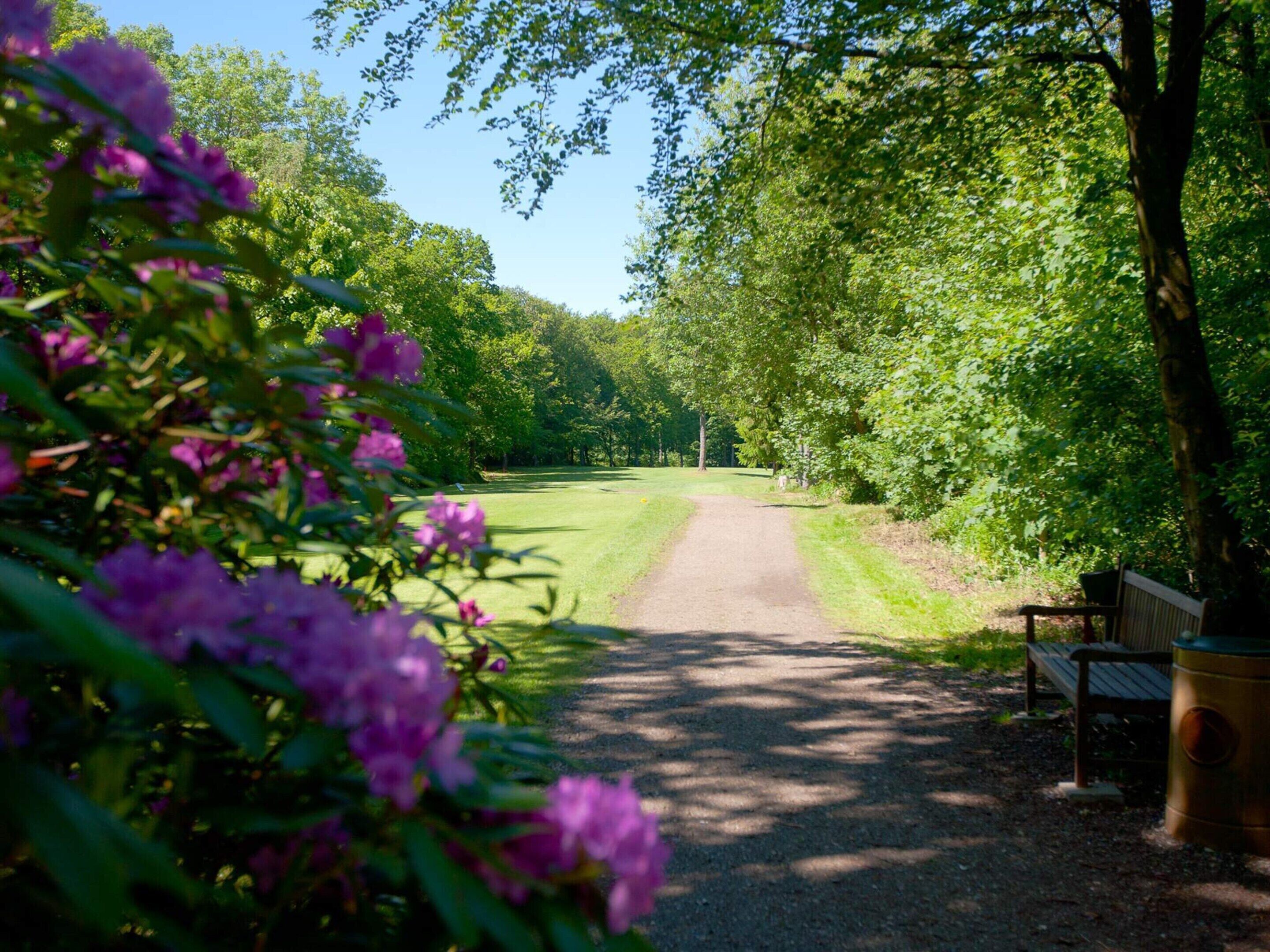A pathway leading through a park with a bench and a trash can on the right.