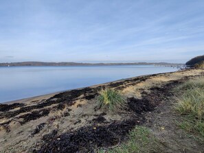 A coastal landscape with a sandy beach, seaweed, and a calm body of water.