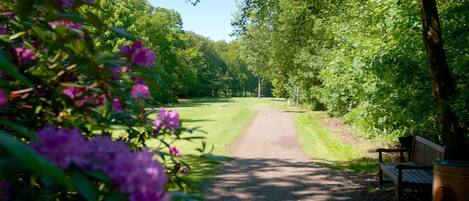 하우스 | 숙박 시설 구내