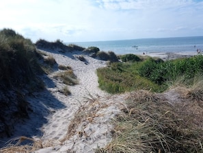 A sandy beach path leading to the sea with dunes and vegetation.