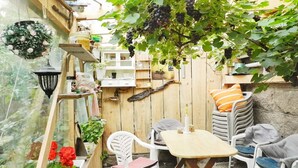 A cozy outdoor seating area with white plastic chairs and a table, surrounded by a wooden fence and greenery. - 3 Person Holiday Home in Lysekil (Lysekil)