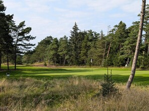 Un terrain de golf avec un mât de drapeau, entouré d’arbres et d’herbe.