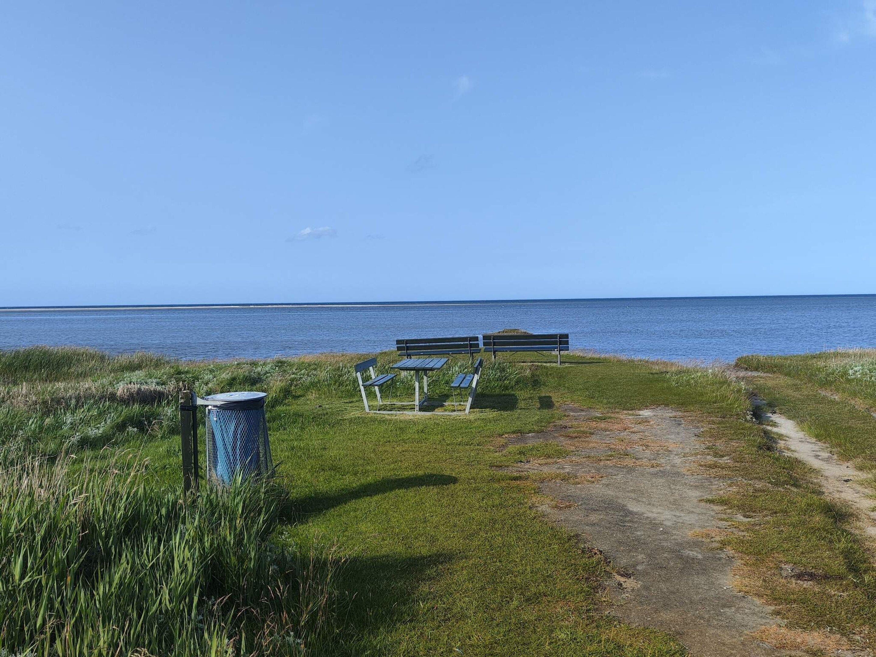 A grassy area with a path leading to a bench and a trash bin.