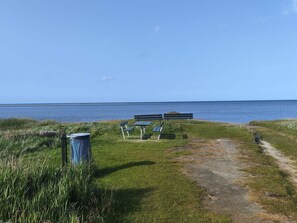 House | Property grounds