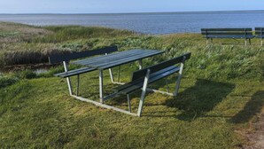 A grassy area with a picnic table and benches by a body of water.