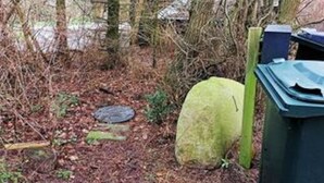 A garden area with a stone, a metal plate, and a green trash bin. - Rustic Holiday Home in Asnæs near Sea (Asnaes)