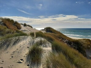 A coastal landscape with sand dunes and a beach. - 6 Person Holiday Home in Hirtshals (Hirtshals)