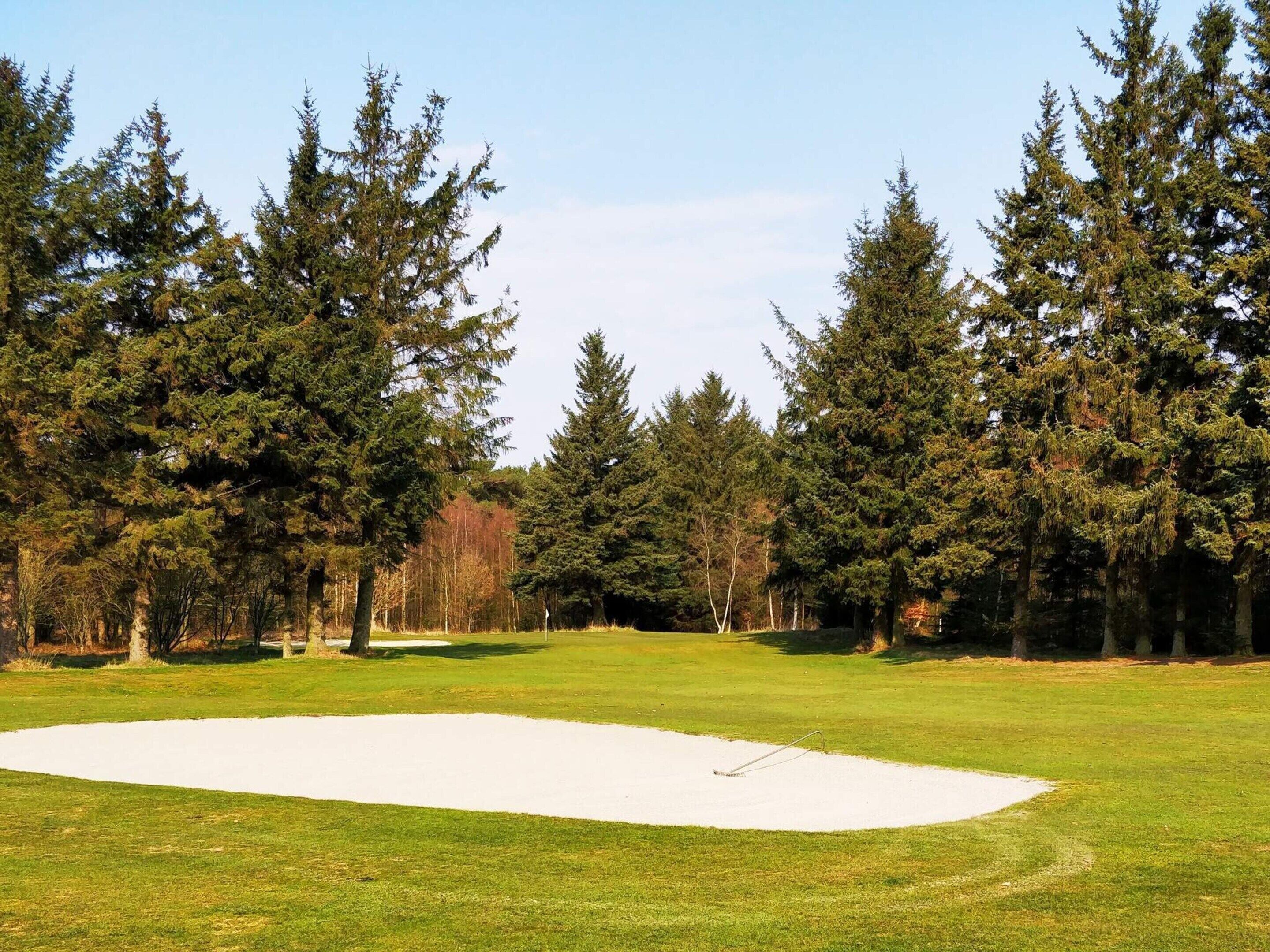 Un campo da golf con una buca di sabbia, alberi e cielo sereno.