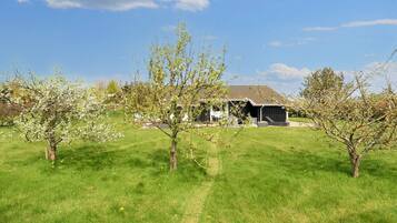 House | View from property