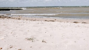 A beach with sand, seaweed, and waves. - 4 Star Holiday Home in Vinderup (Vinderup)