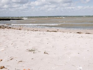 Une plage avec du sable, des algues et des vagues.