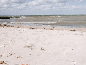 A beach with sand, seaweed, and waves. - 4 Star Holiday Home in Vinderup (Vinderup)