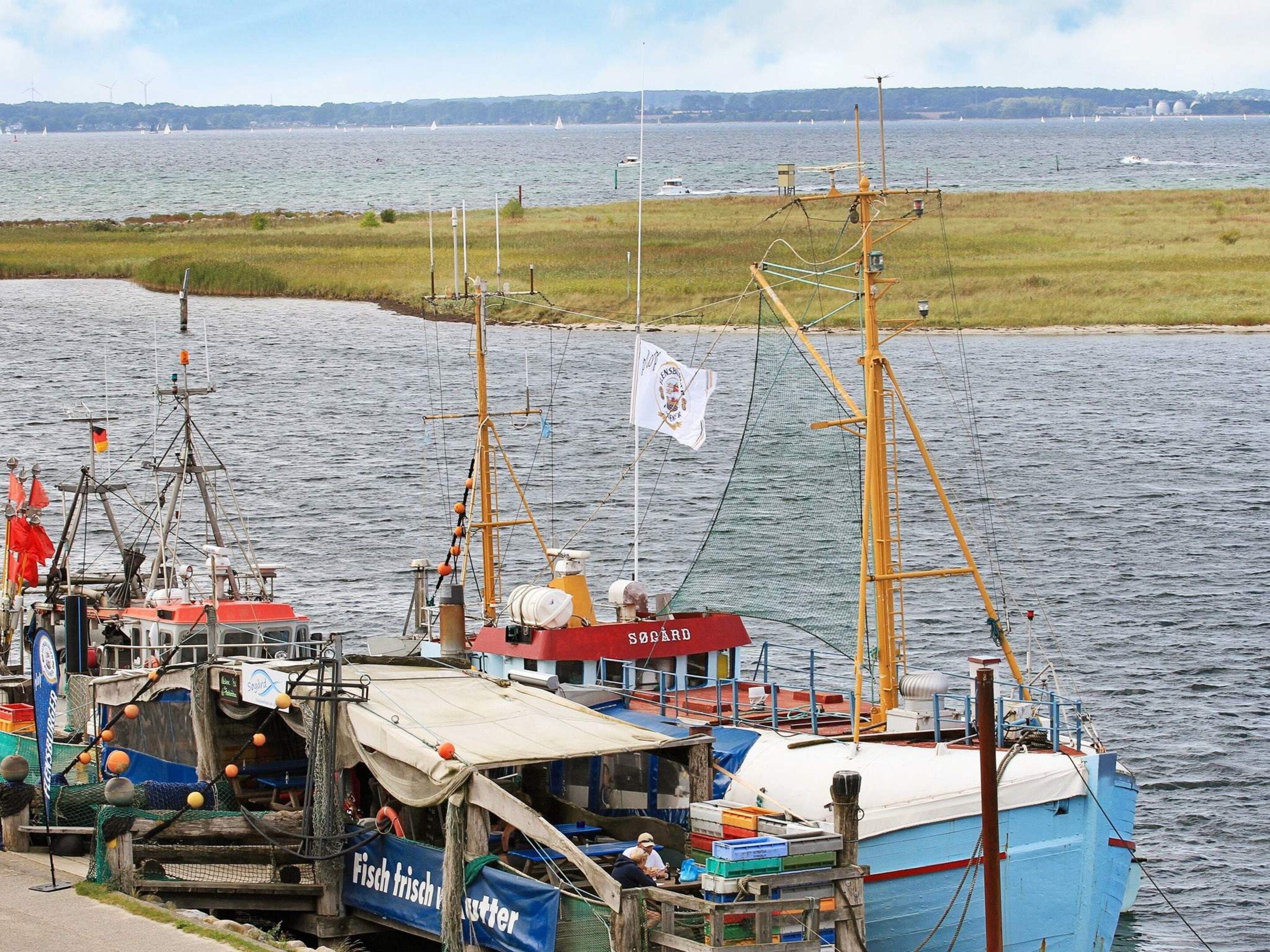 Un port où sont amarrés des bateaux de pêche, un drapeau, et une vue lointaine d’éoliennes et d’une côte.