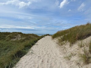 Uma trilha de areia que leva à praia, cercada por grama.