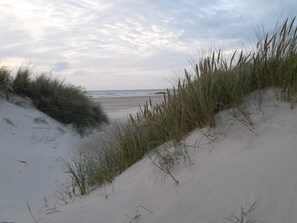 Una playa con dunas de arena y pastizales.