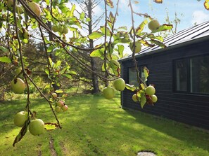 A tree with green apples hanging from its branches, a grassy yard, and a wooden cabin with a sloped roof.